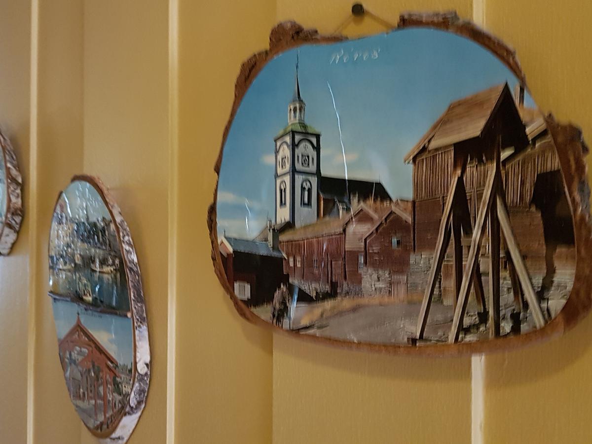 Røros Solheim Pensjonat מראה חיצוני תמונה